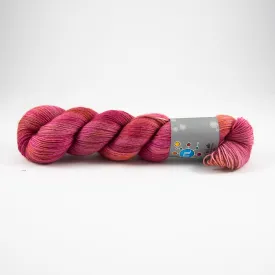 BFL Soft Sock - Aga's Wish