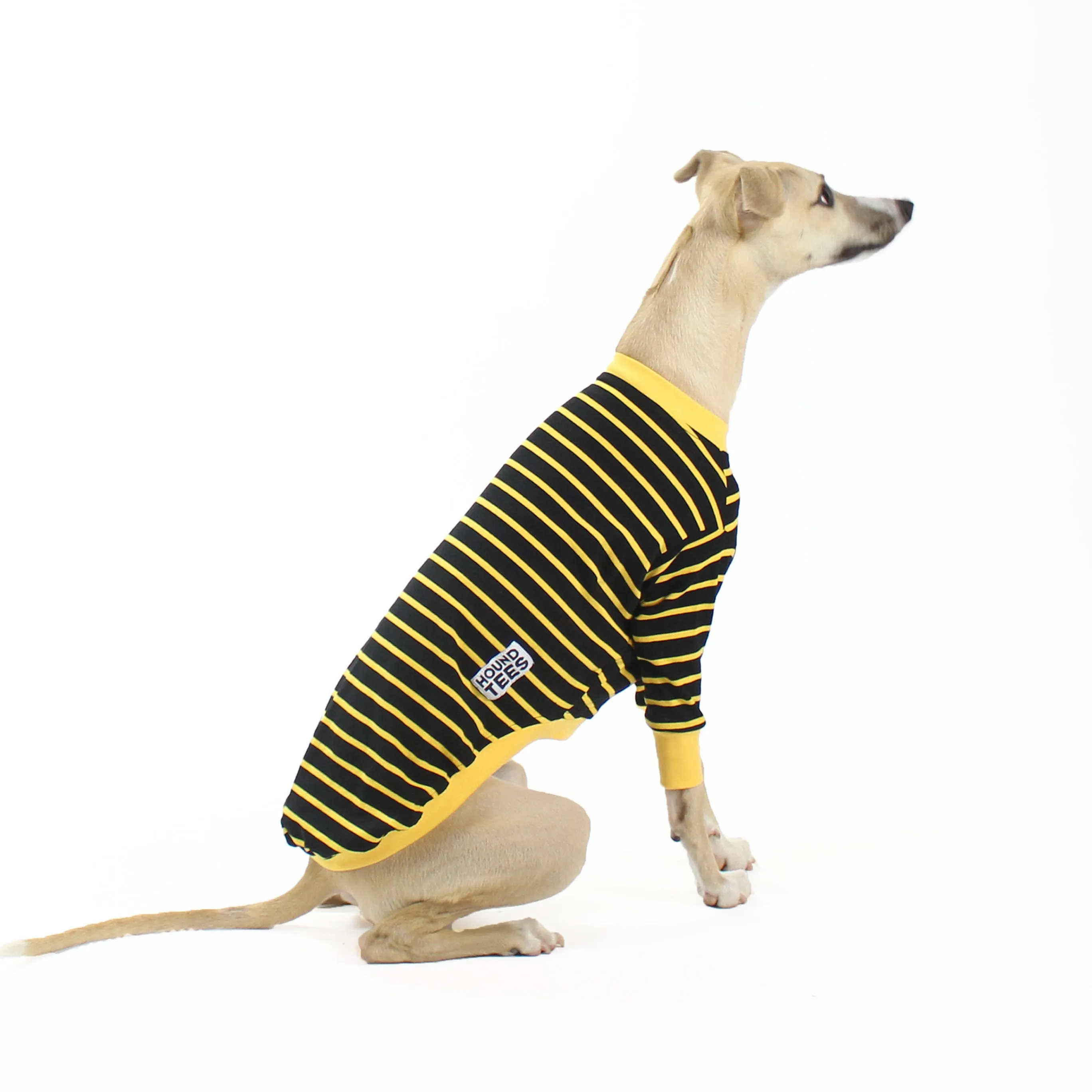 Buzz Whippet Long Sleeve Hound-Tee