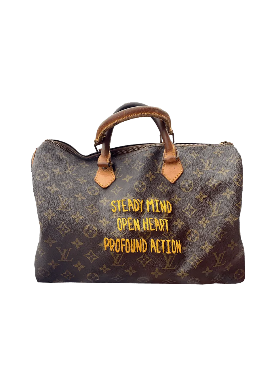 Custom Embroidered Louis Vuitton Speedy 25 Purse