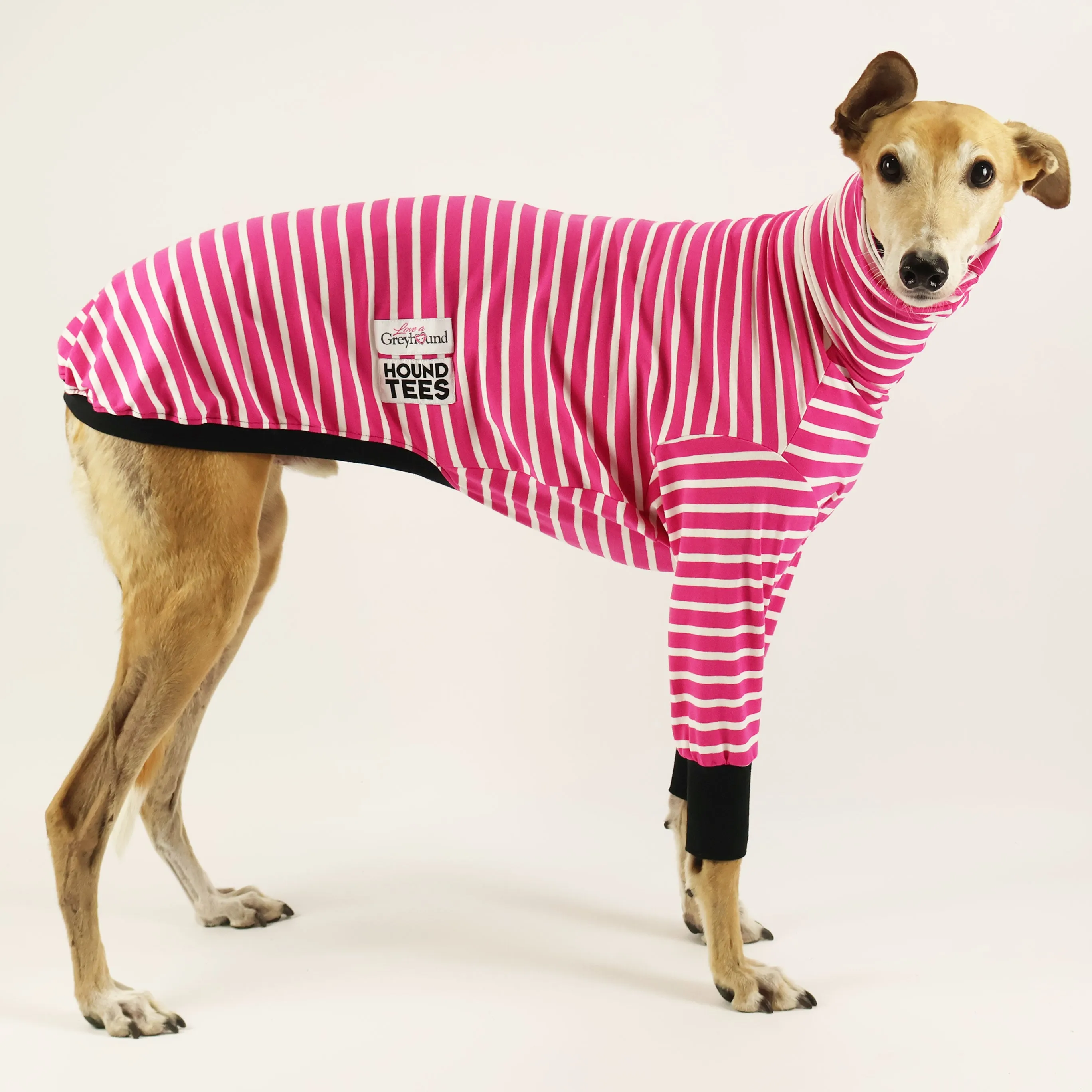 Love A Greyhound Greyhound Long Sleeve Hound-Tee