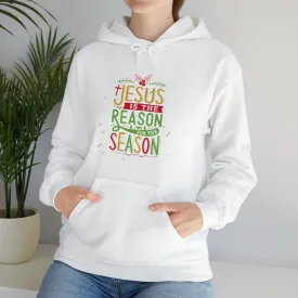 "Jesus is the reason" Unisex Heavy Blend™ Hooded Sweatshirt