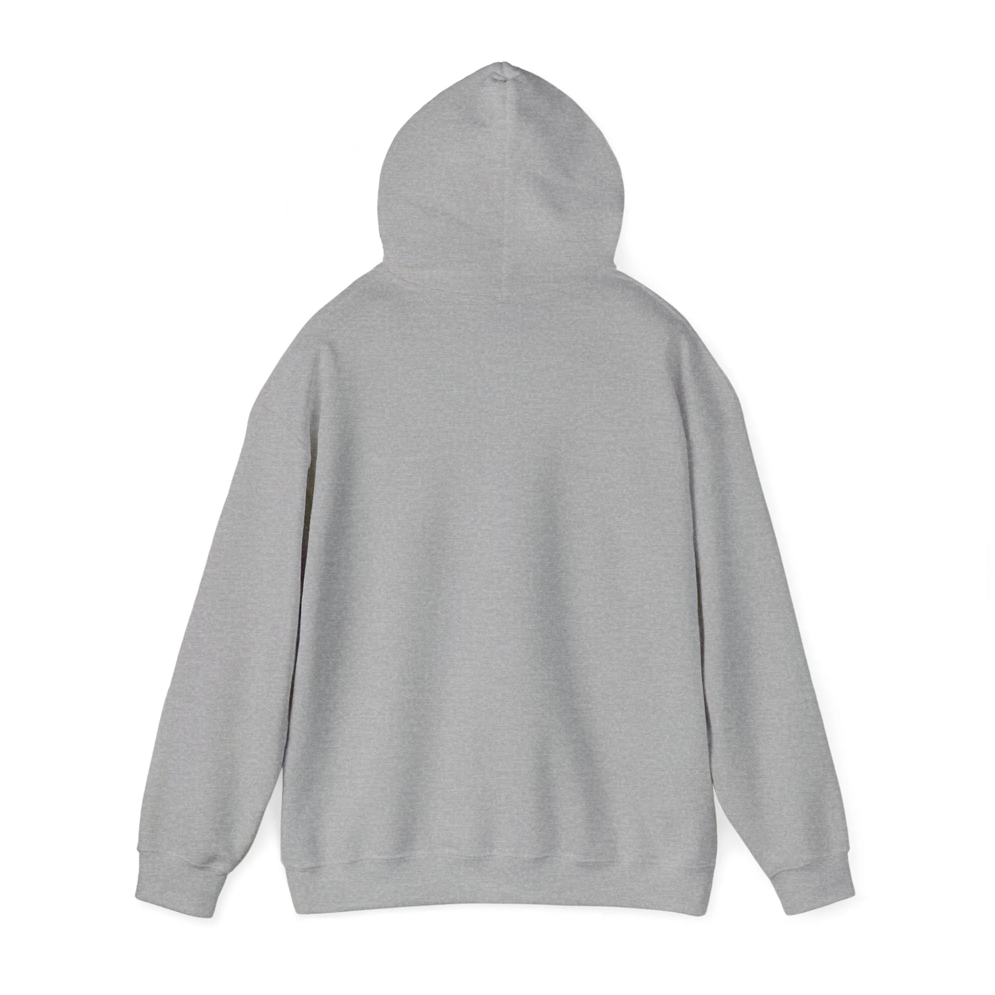 Unisex Heavy Blend™ Hooded Sweatshirt -Touch Not My Anointed