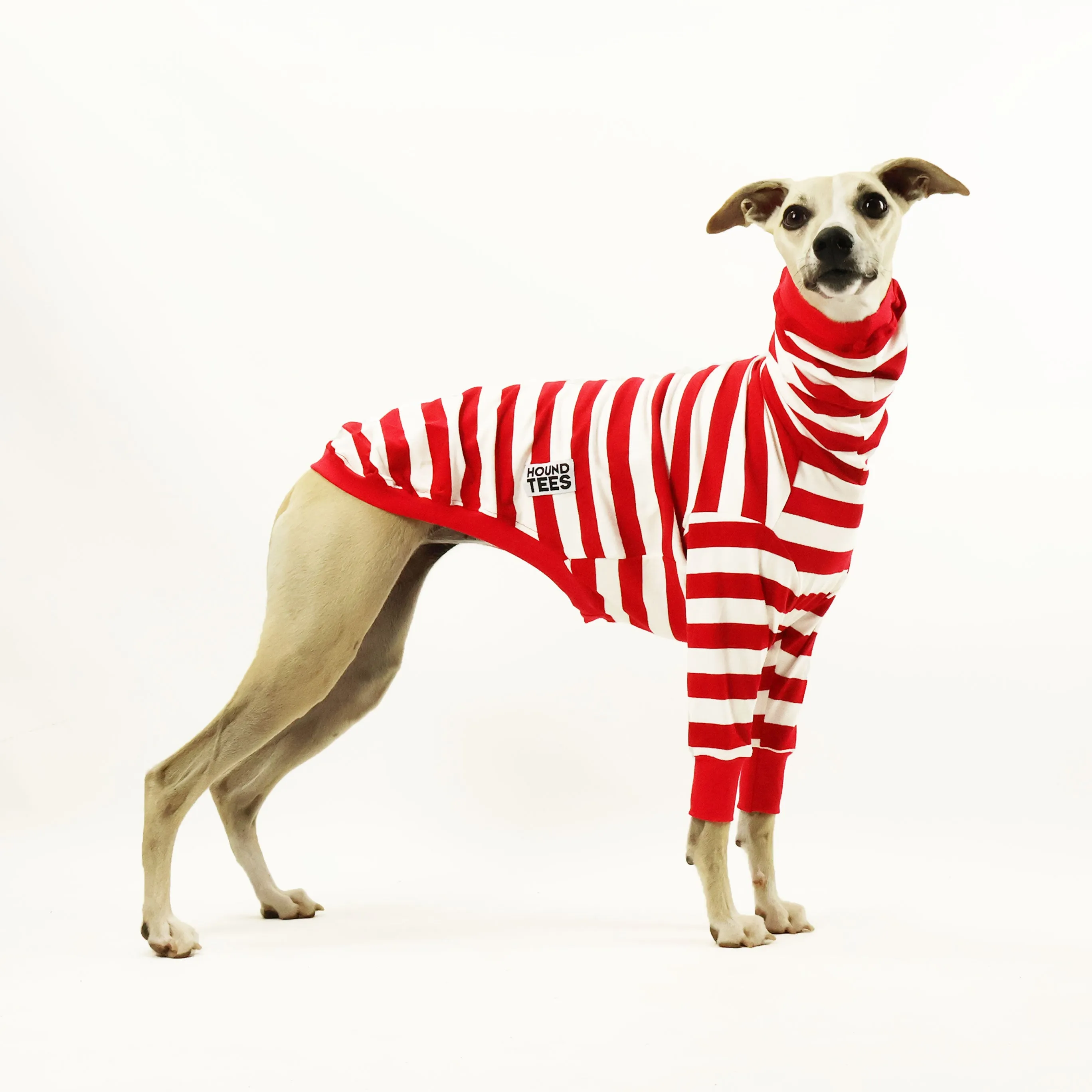 Wally Whippet Long Sleeve Hound-Tee