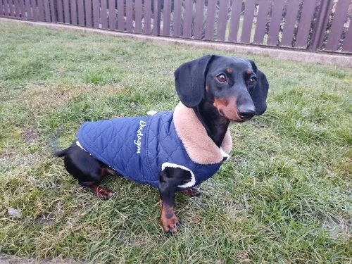 Waterproof Winter Jacket with Fur Collar for Small Dogs